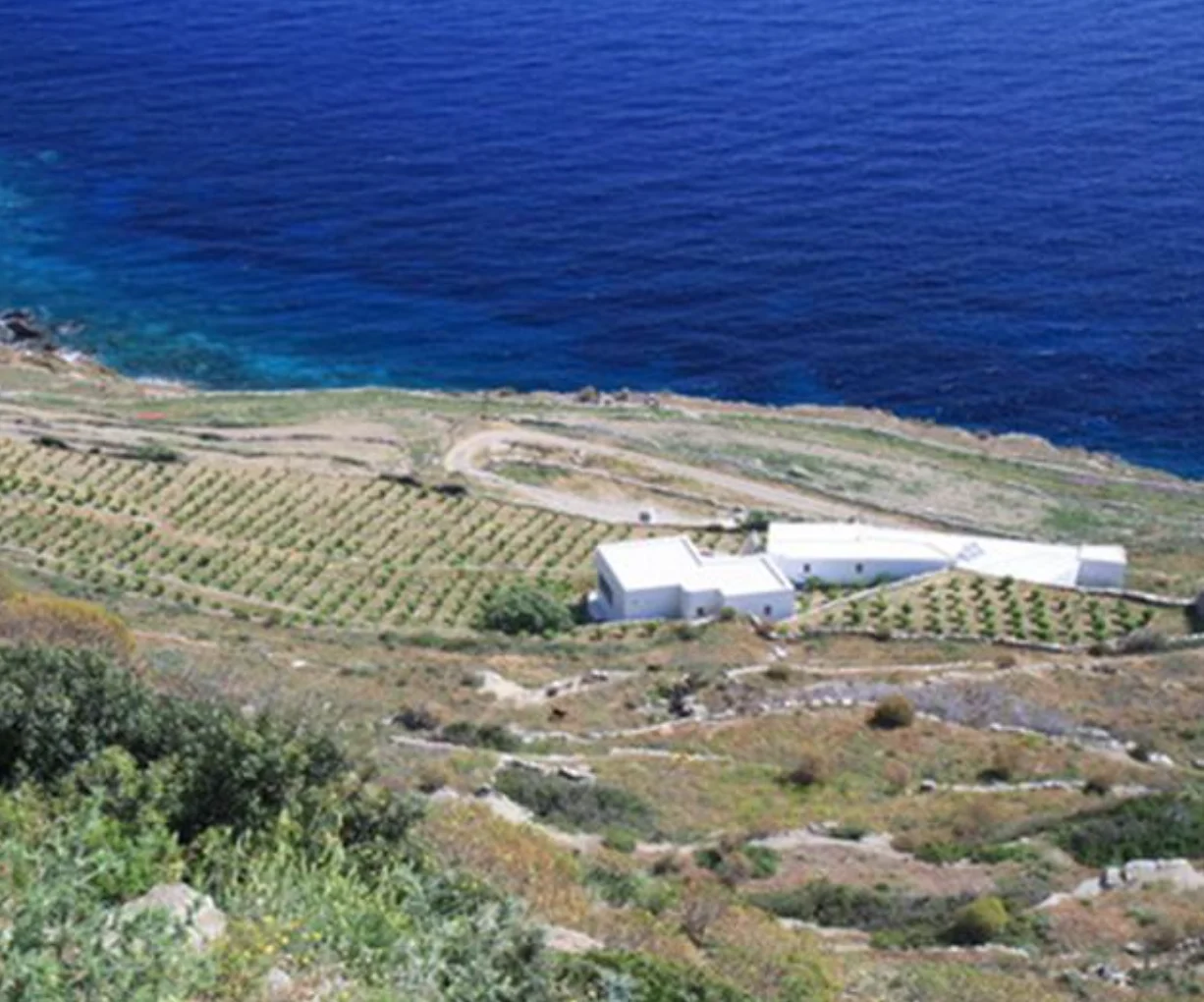 Best Wineries and Wine Tastings in Sifnos